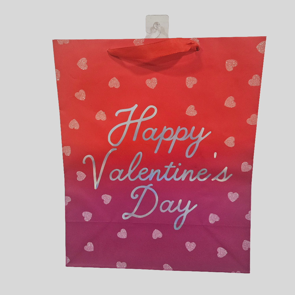 Valentines Day Gift Bag