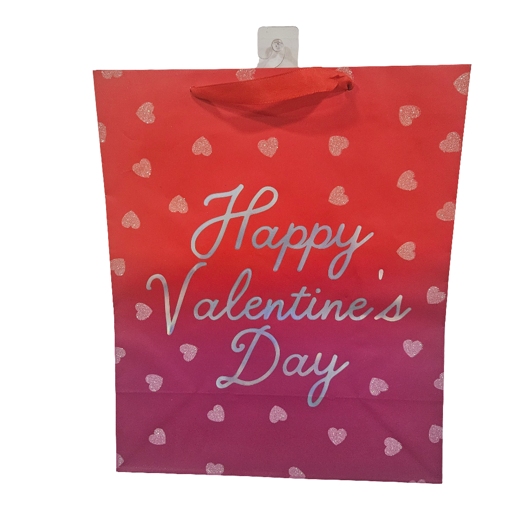 Valentines Day Gift Bag